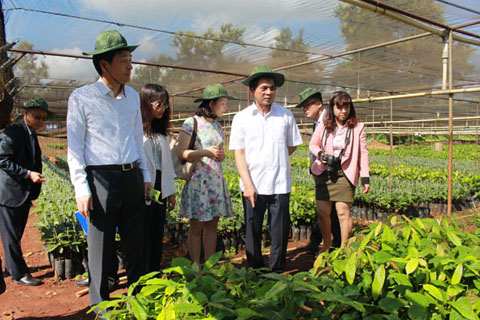 Đại sứ đặc mệnh toàn quyền Hàn Quốc tại Việt Nam tham quan các vườn ươm giống tại Viện Nghiên cứu Khoa học kỹ thuật Nông lâm nghiệp Tây Nguyên.   Ảnh: Kim Bảo