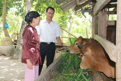 Nhiều nông dân trên địa bàn tỉnh Đắk Lắk