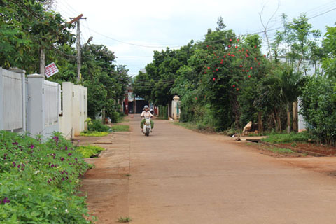 Một tuyến đường của thôn Tân Lập được làm khang trang. 