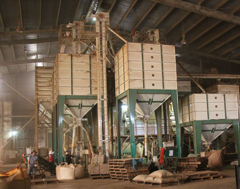 Một cơ sở chế biến cà phê xuất khẩu trong Cụm công nghiệp Tân An 2, TP. Buôn Ma Thuột