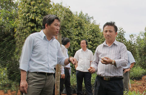 Phó Chủ tịch Thường trực UBND tỉnh Nguyễn Hải Ninh (bên trái) thăm một mô hình phát triển kinh tế tại huyện Krông Năng.  Ảnh: M. Thuận