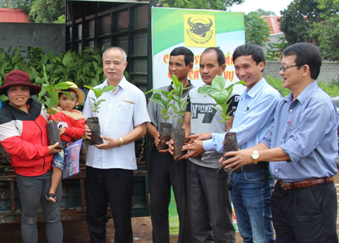 Đại diện các nhà tài trợ trao cây giống hỗ trợ người dân.
