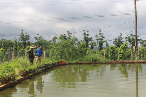 Hồ trữ nước với thể tích 1.200 m3 của gia đình ông Bùi Ngọc Giang (thôn 8, xã Ea Khal).