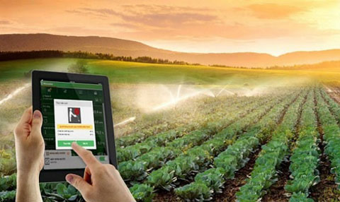 Ứng dụng công nghệ cao vào nông nghiệp: Tháo gỡ rào cản cho doanh nghiệp - Daklak24h
